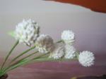 tn_gallery_37_362_41783.jpg