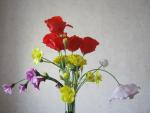 tn_gallery_37_362_43383.jpg