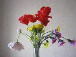 tn_gallery_37_362_47964.jpg