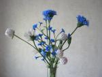 tn_gallery_37_362_6321.jpg