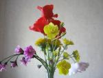 tn_gallery_37_362_6822.jpg