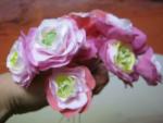 tn_gallery_37_362_9598.jpg
