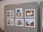 tn_gallery_37_688_132.jpg
