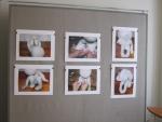 tn_gallery_37_688_21954.jpg