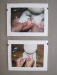 tn_gallery_37_688_29442.jpg