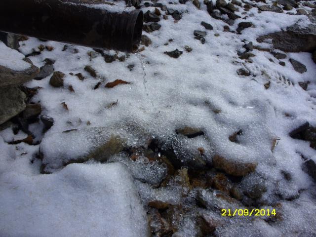 gallery_5358_466_399542.jpg