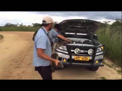 Что-то под капотом стучит в Магадане « автомагадан