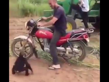 Любитель скорости в Магадане « автомагадан