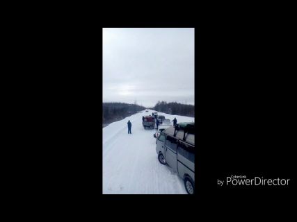 В магаданской области лось перекрыл движение в Магадане « автомагадан