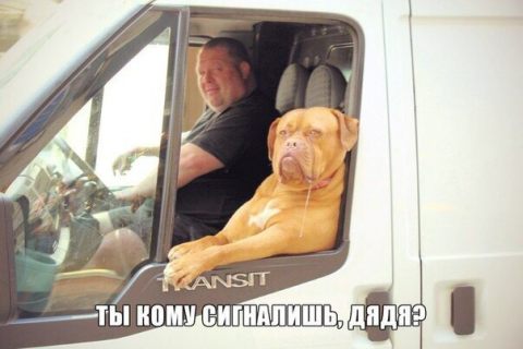 Подборка картинок в Магадане « автомагадан